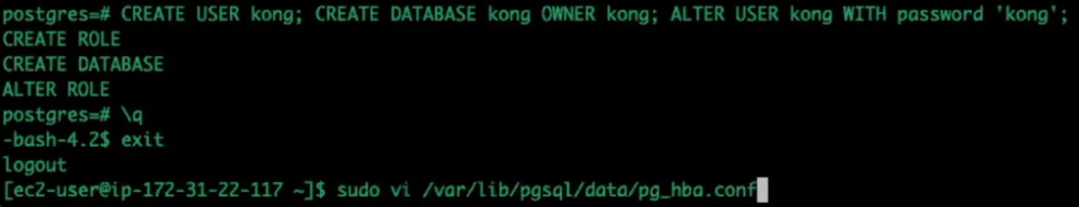 Kong Gateway Tutorial: Create User
