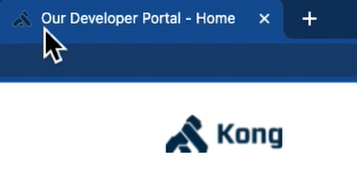 Kong Developer Portal Navigation Name